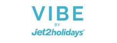 vibe logo
