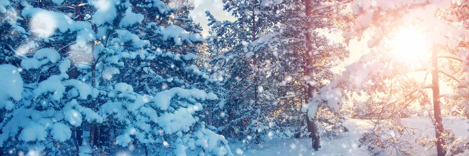 Lapland UK - The Christmas Experience