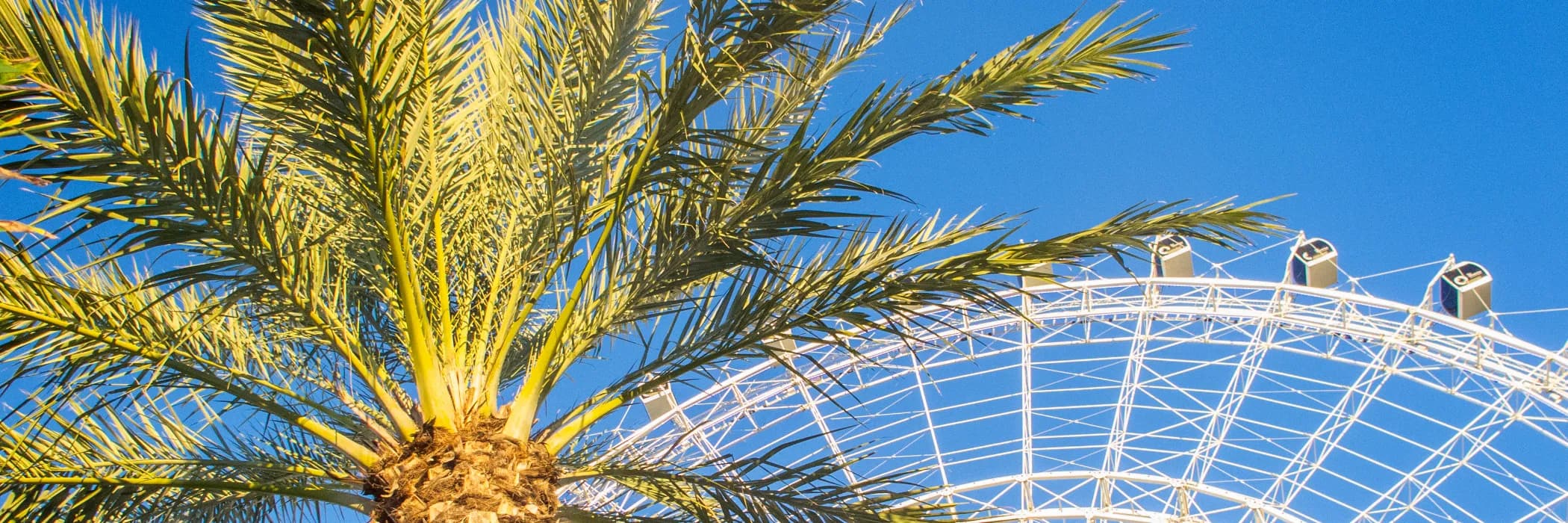 Decorative background image for Best Hotels On International Drive Orlando