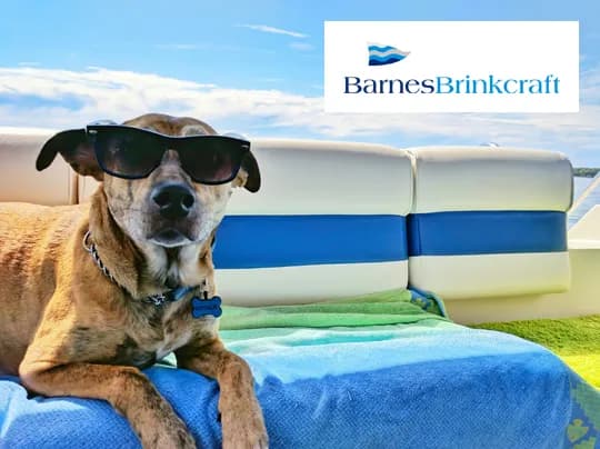 Dog Friendly Boating Holidays On The Norfolk Broads