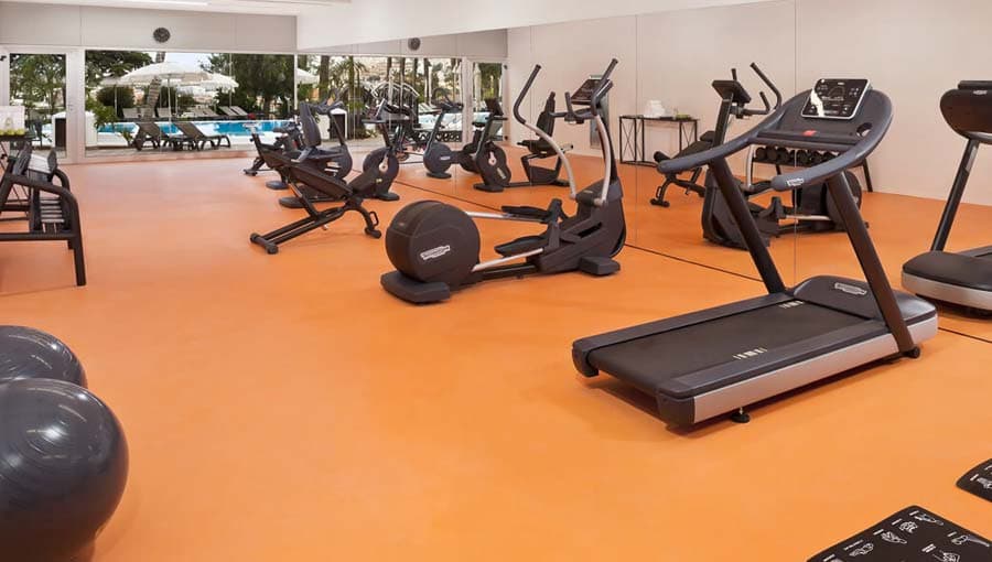 Melia Jardines Del Teide Gym