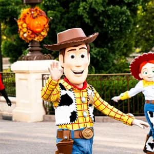 Why Visit Walt Disney World