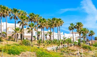 Estepona