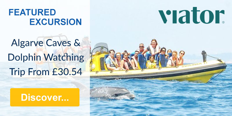 Dolphin Watching