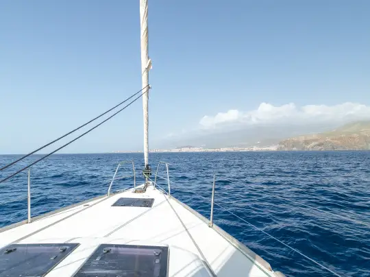 Boat trips from Playa de Las Americas