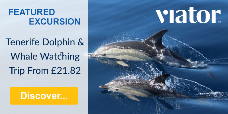 Tenerife Dolphin and Whale watching trip