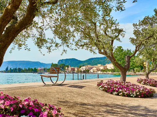 Bardolino Lake Garda