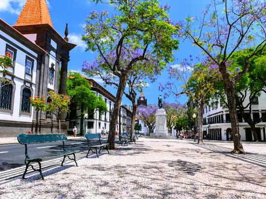 Funchal City Breaks