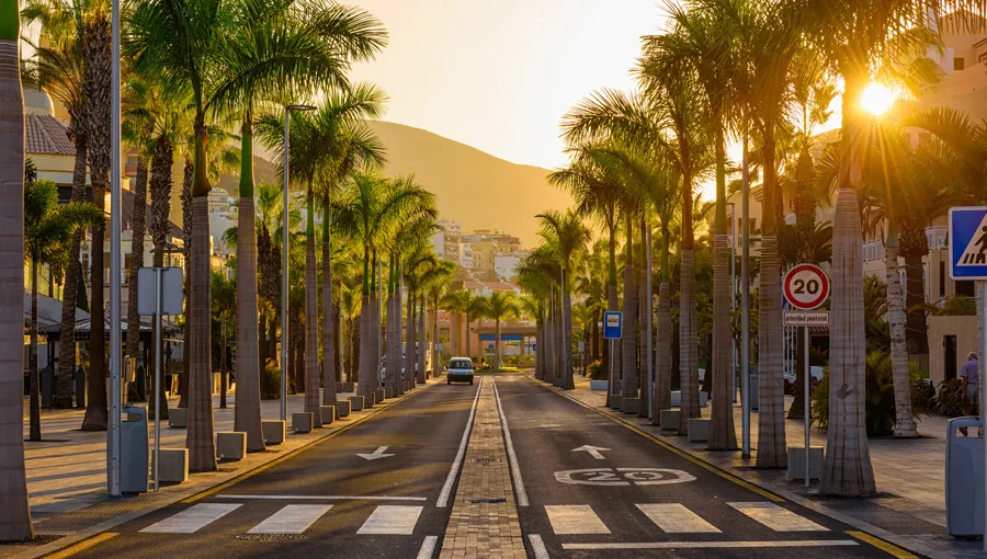 Playa de Las Americas Street