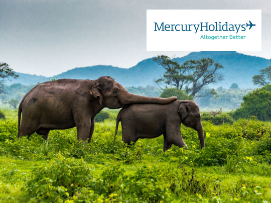 Sri Lanka Holidays With Mercury Holidays