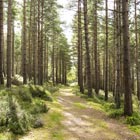 woodland holiday parks in scotland
