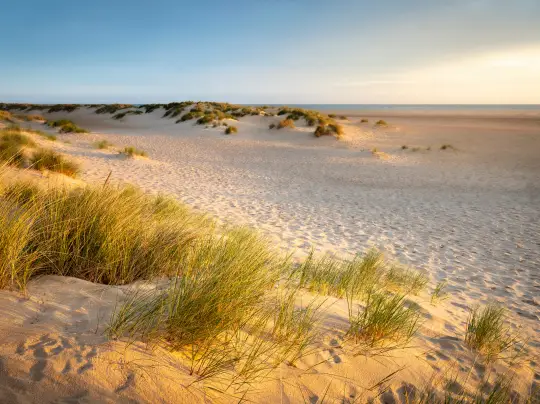 Norfolk Holidays