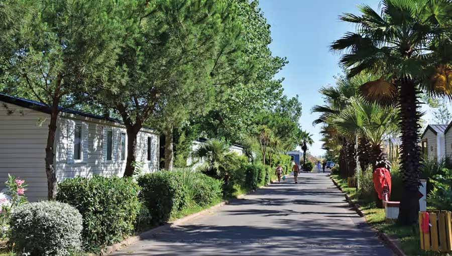 Le Mediterranee Plage