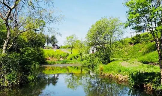 Moreton Farm