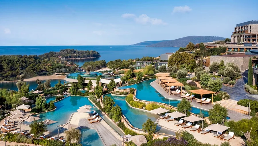 Lujo Art & Joy Overview