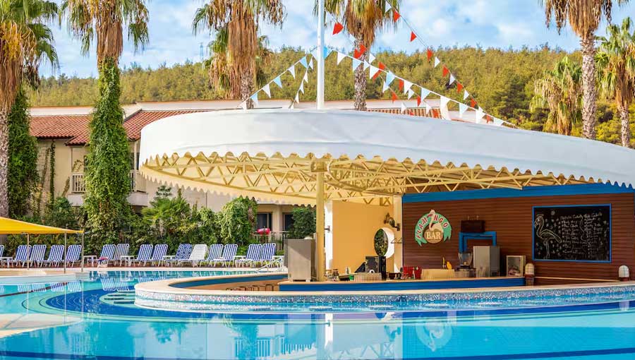 Swim Up Bar
