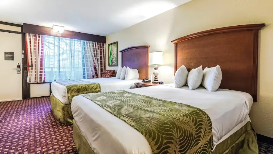 Best Orlando Hotels On International Drive - Rosen Inn at Pointe Orlando Room